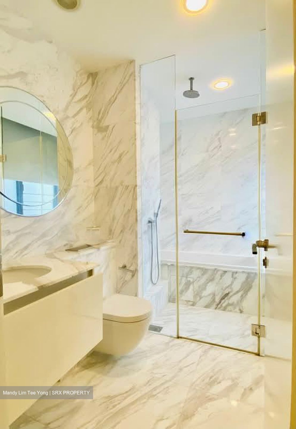 Viva (D11), Condominium #580584211